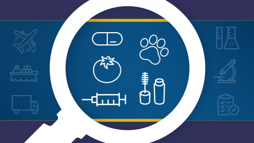 magnifying glass focused on icons of a pill, tomato, syringe, cat paw print, and mascara, with icons of a plane, ship, truck, beakers, microscope, and checklist on a clipboard surrounding the magnifying glass