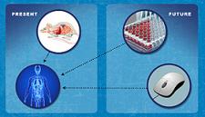 Cutting-edge tools for disease modeling, efficacy, and safety