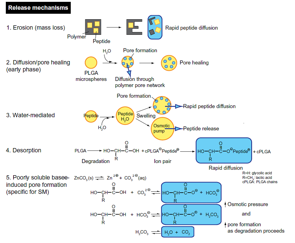  release mechanisms