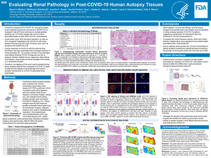 Poster Image - Evaluating Renal Pathology in Post-COVID-19 Human Autopsy Tissues