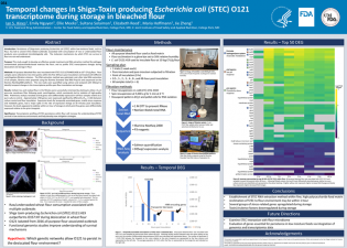 Poster Image - Temporal changes in Shiga-Toxin producing Escherichia coli (STEC) O121 transcriptome during storage in bleached flour