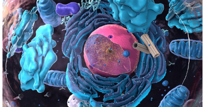 Lysosomal Disease 