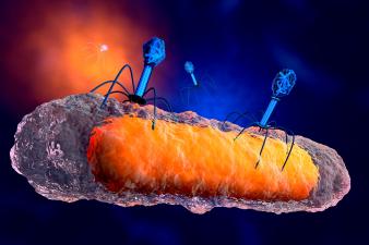 Bacteriophage Virus.