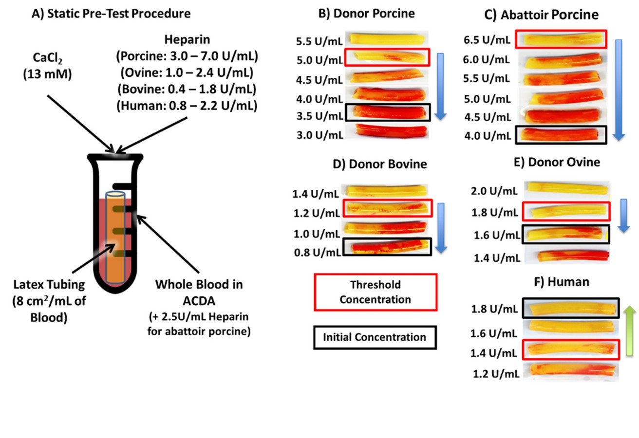 Figure 2: Static latex pre-test performed to estimate donor-specific heparin concentrations. A) Uniform latex tubing segments were incubated in re-calcified blood with a series of species-dependent heparin concentrations for 15 minutes at 37°C (ovine blood was incubated for 30 minutes at room temperature).