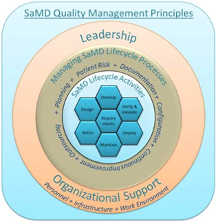 This image represents the quality management principles of software as a medical device (SaMD), such as leadership and organization support, processes and activities.