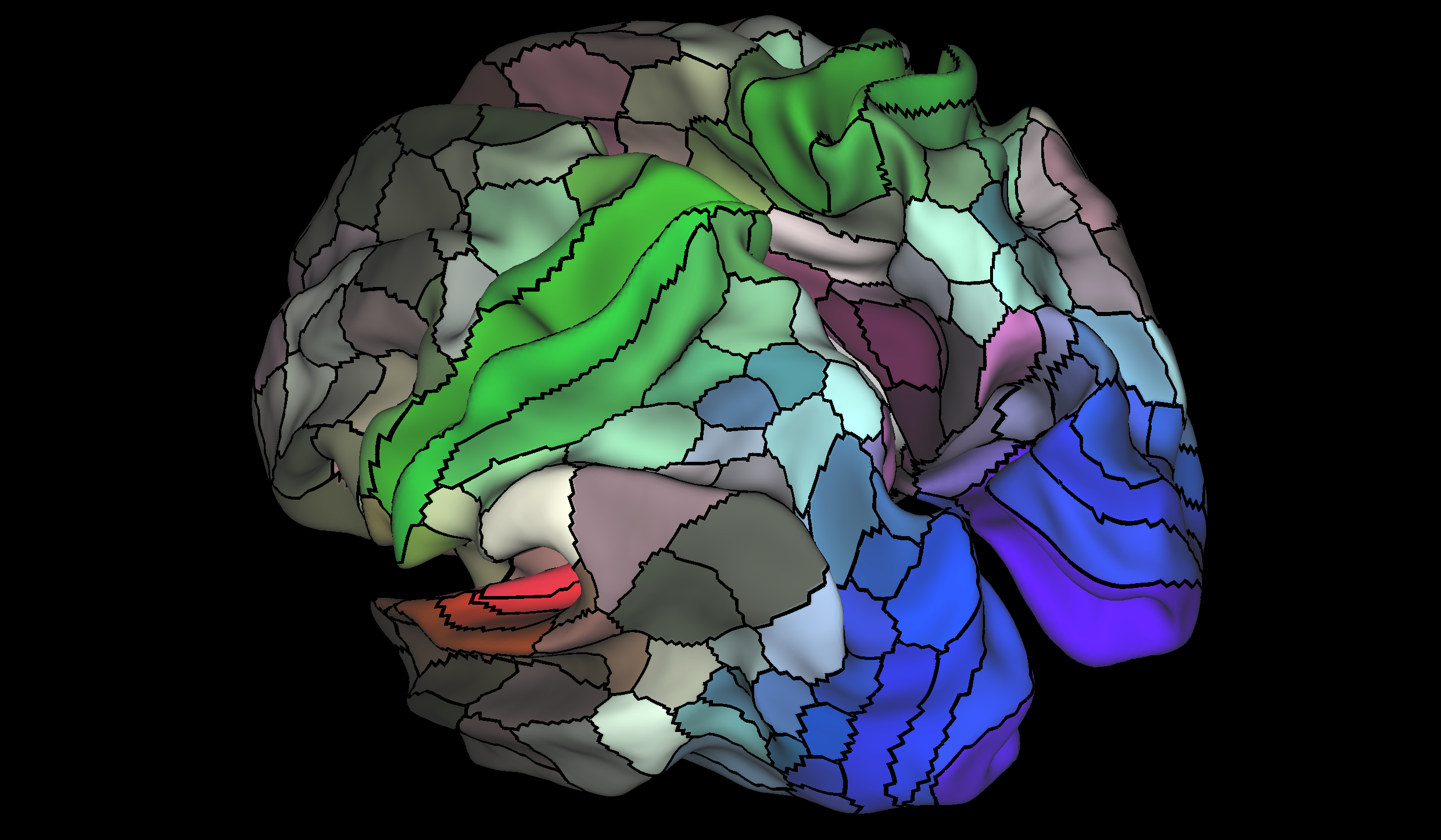The HCP’s multi-modal cortical parcellation