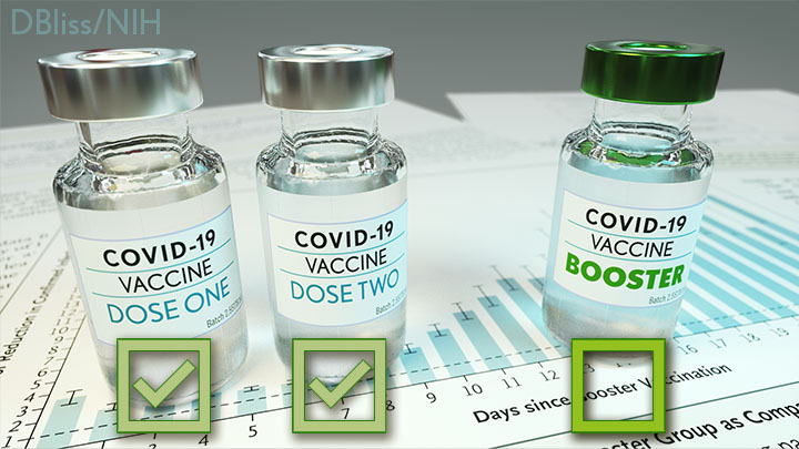 COVID-19 Vaccine vials labeled dose one, dose two, and booster