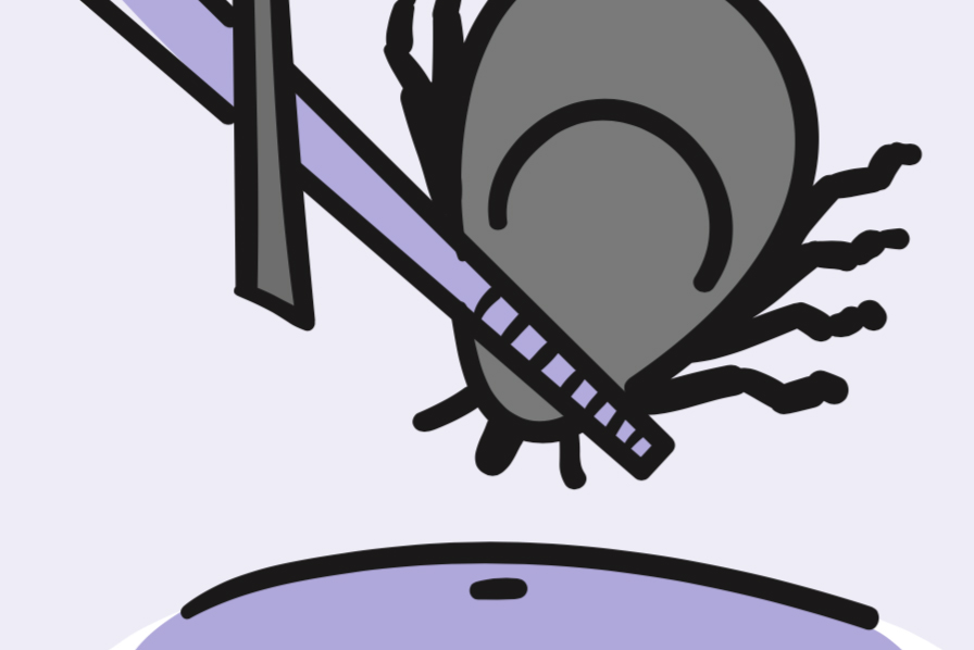 Illustration of a tick being grasped by tweezers and lifted from the skin’s surface.